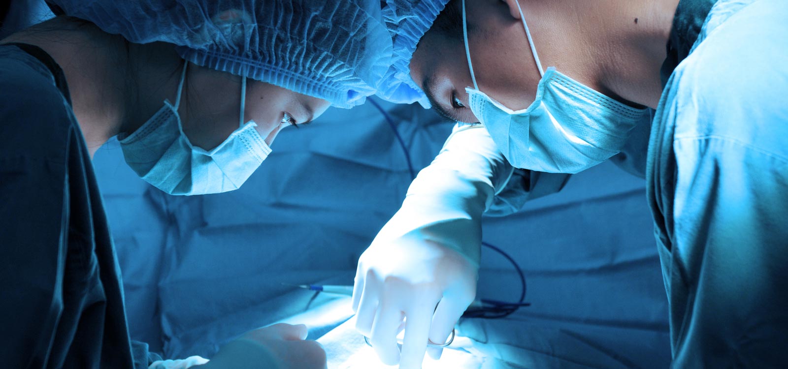 小动物外科证书 (Small animal surgery) ISVPS